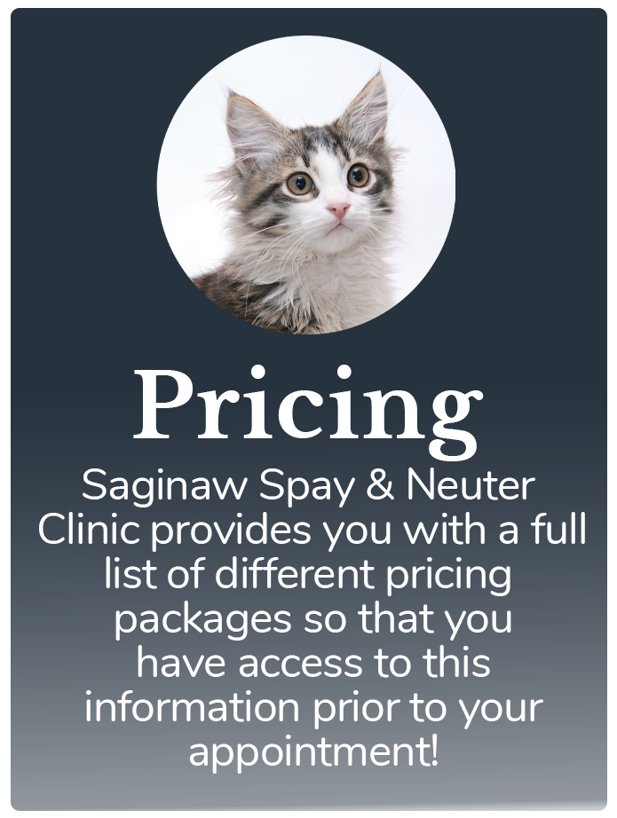 Pricing Information